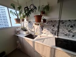 Blk 10 Holland Vista (Queenstown), HDB 3 Rooms #628444691